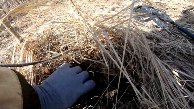Заехал по пути домой на металлокоп и открыл сезон смотреть онлайн
