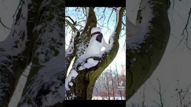 сегодня день рождение ⛄ смотреть онлайн