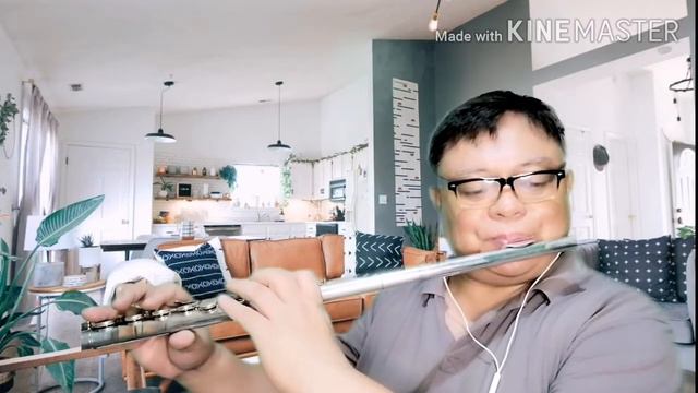 She Believes In Me (flute cover) смотреть онлайн