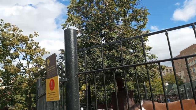 Поход в зоопарк смотреть онлайн