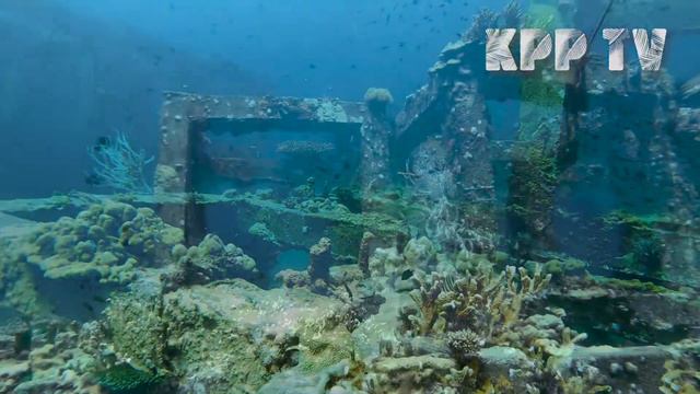 Viking Artificial Reef, Koh Phi Phi Leh смотреть онлайн