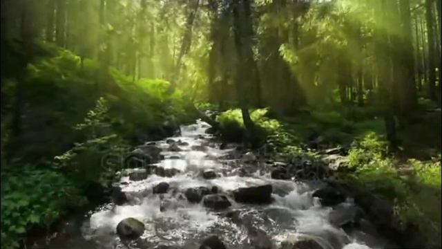 Песня "Начало" (Слова - Дмитрий Батин, муз./исп. - Мария Нарожных) смотреть онлайн