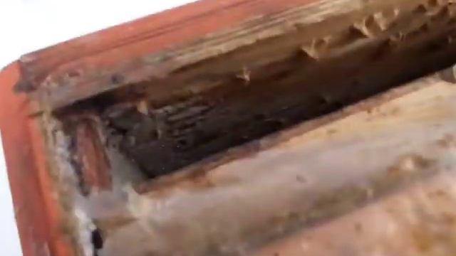 Холодная зимовка пчёл на улицы!!! #зимовкапчел #пасека #пчеловодстводляначинающих #вентиляцыя #корм