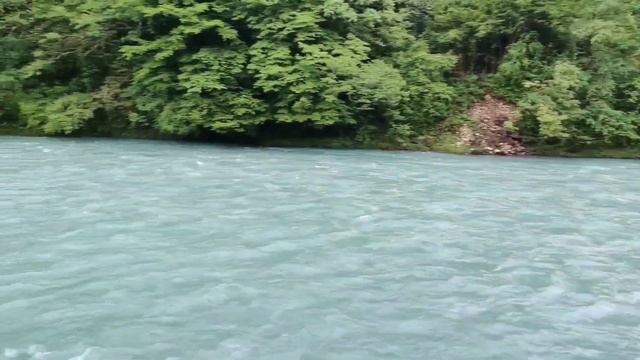 #721.Гагра.Ура мы в Абхазии.Какая проблема была на границе???