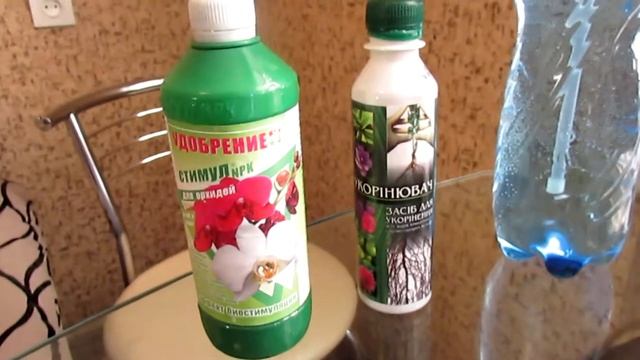 Орхидея Ванда - уход и содержание. смотреть онлайн