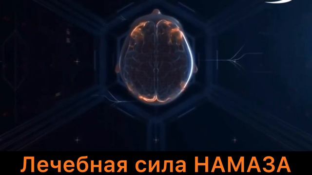 Лечебная сила Намаза. Польза Намаза. Чем полезен Намаз. смотреть онлайн