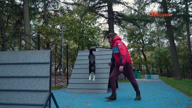 Новая собачья площадка на Нахимовском проспекте смотреть онлайн