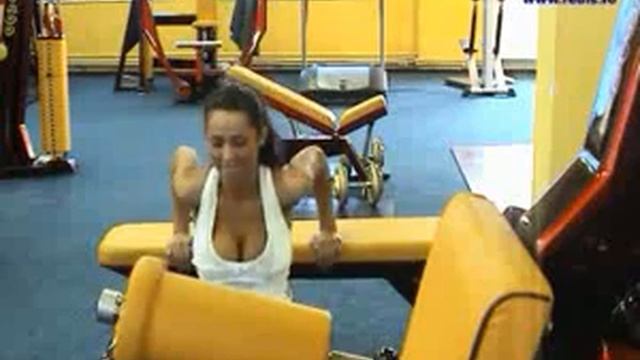 N Luciu Ex.3 Triceps