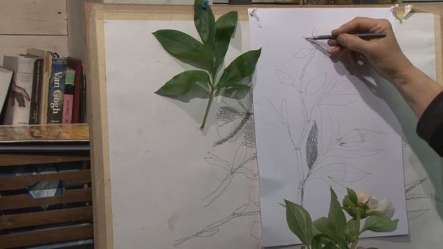Как нарисовать Воздушные пионы смотреть онлайн