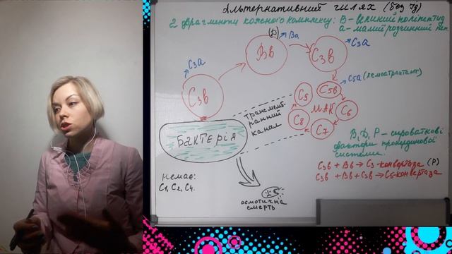 Система комплементу. Шляхи активації комплементу. РЗК смотреть онлайн