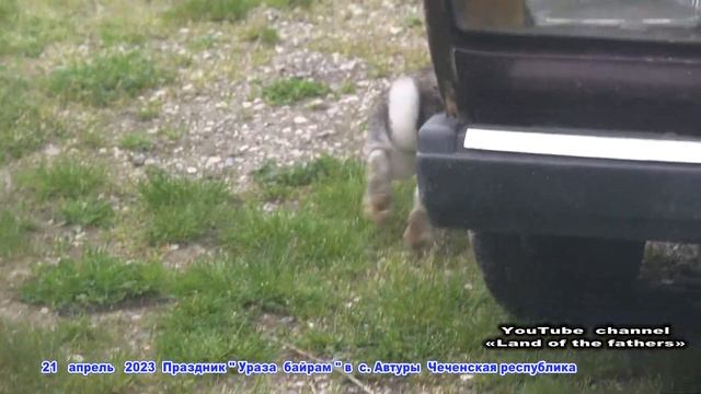 21 апр 2023 Ураза байрам ч 5 - За рулём в с. Сержень -юрт . У Гириевых смотреть онлайн