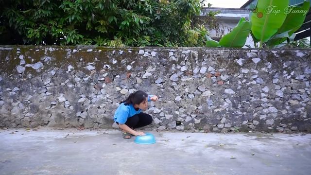 Top New Funny Video 2020 ?? Best Funny Tiktok Video ?? Try To Not Laugh #14 смотреть онлайн