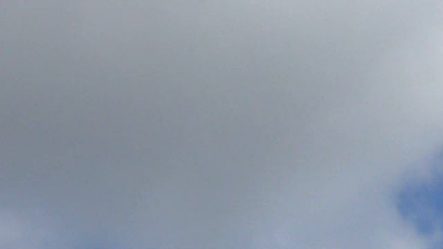 Николаевские голубята 13 05 2021г смотреть онлайн