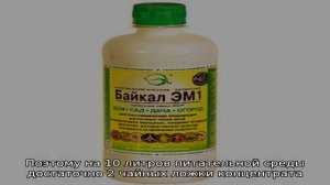 Удобрение «Байкал ЭМ-1» — применение для клубники