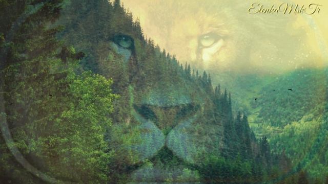 Анимационная музыкальная открытка Лев 2 Animated music card Lion 2 смотреть онлайн