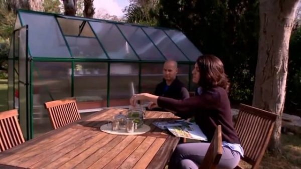 Best Greenhouse Kit Reviews 2021 | Top 6 Absolute Greenhouse Kits For Your Plants