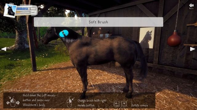 Ostwind Windstorm #1 Gameplay