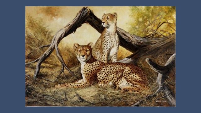 Cómo DIBUJAR Y PINTAR ANIMALES REALISTAS