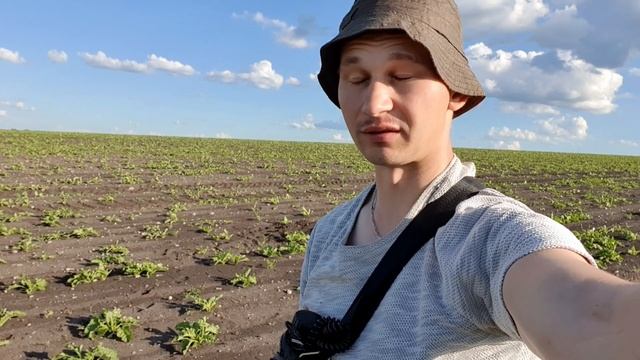 Отличный?Коп с Simplex Plus, приехал отдохнуть в КОНДУКИ, много находок, редкий значок, монеты и др смотреть онлайн