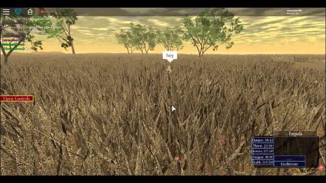 roblox play wild Savannah смотреть онлайн