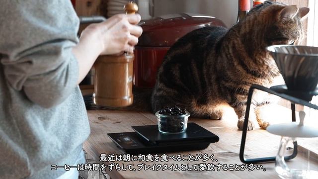 ご無沙汰です。元気でした。再スタートをする私の暮らしの日記。 смотреть онлайн