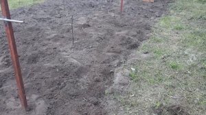 ?Шпалера для ежевики: обзор + размеры?