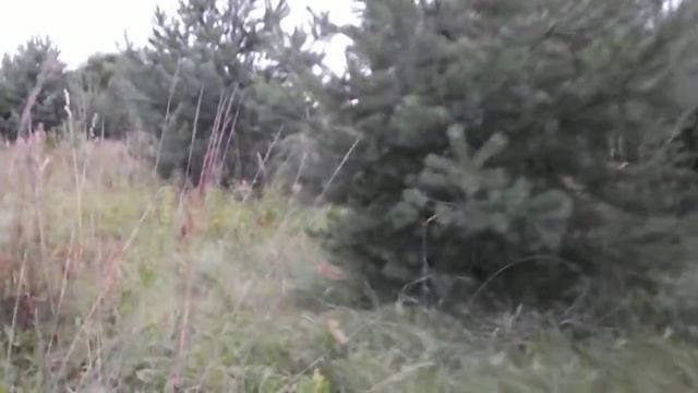 вальдшнеп смотреть онлайн