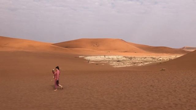 Сусусфлей в Намибии. Мертвый лес посреди пустыни смотреть онлайн