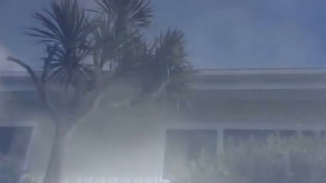 SPA KIWI TAB. Презентация нового АСМР видео смотреть онлайн