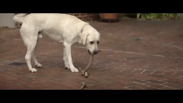 НОВЫЕ ФИЛЬМЫ 2023 - 2022, КОТОРЫЕ УЖЕ ВЫШЛИ В ХОРОШЕМ КАЧЕСТВЕ! ЧТО ПОСМОТРЕТЬ ТОП 7 НОВИНКИ КИНО смотреть онлайн