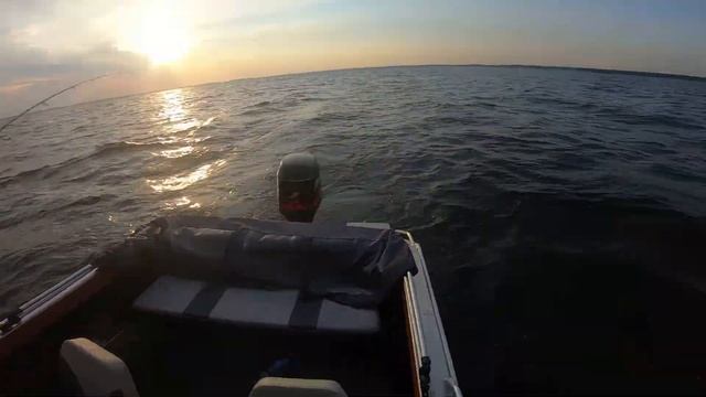 Вечерняя рыбалка. Половили судака. #Клевотут35 смотреть онлайн