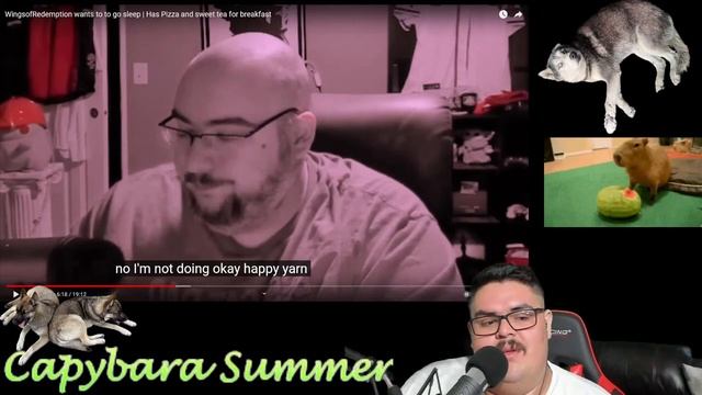 Wings catch-up and other react content | 002 смотреть онлайн