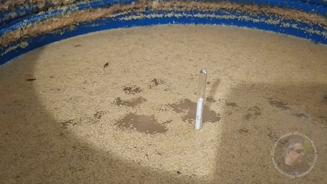 КОДЗИ НОМИКАЙ Nomikai не нужны и бесплатно