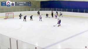 СКА Серебряные львы 2013 - Армия СКА 2013 / Детская Хоккейная Лига