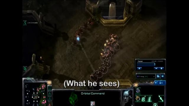 Starcraft 2 Beta - Burrowing For Newbs (Zerg) смотреть онлайн