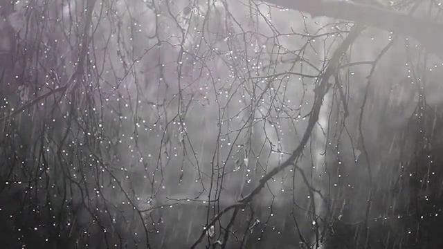 Тихая грусть флейты с дождём смотреть онлайн