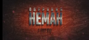 Содержание 3 серии сериала Операция "Неман