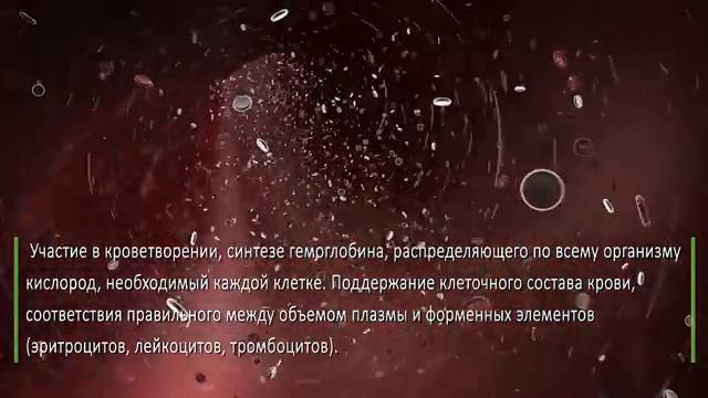Всего несколько кусочков тыквы в день и... Польза или вред? смотреть онлайн