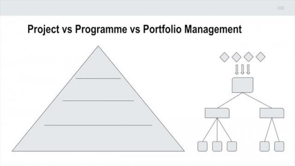Roles of PM & differences between project, programme and portfolio management