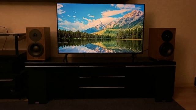 Dynaudio Heritage Special - Hegel H390