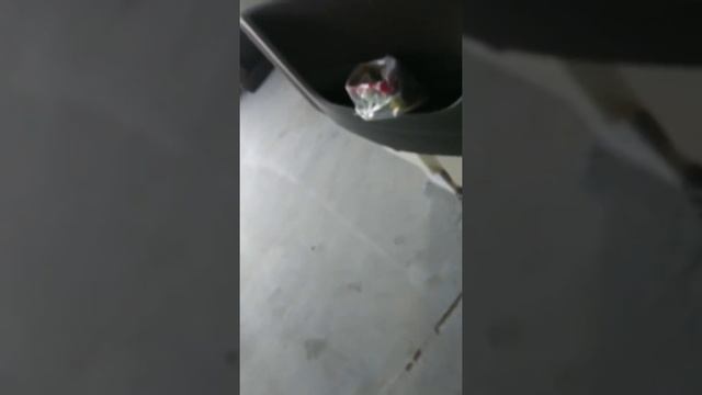 Программатор тахографов CD400 - CD Concept смотреть онлайн