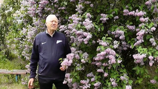 Валентин Филиппов - "Хмельная сирень". Приморский СДК представляет смотреть онлайн