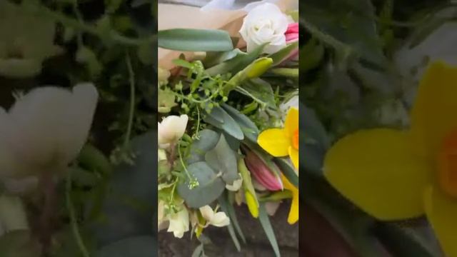 Jarní kytice , Spring bouquet