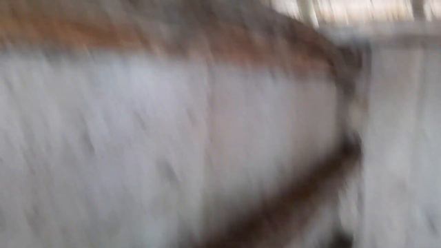 как жили крестьяне Бельгии. Openluchtmuseum Bokrijk смотреть онлайн