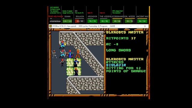 Treasures of the Savage Frontier part 28: Icewolf and That Fight смотреть онлайн