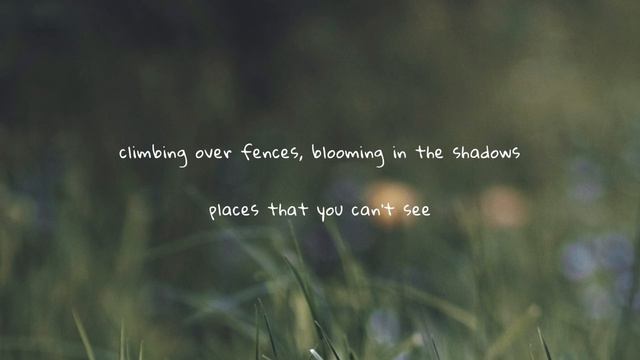 kacey musgraves - love is a wild thing (lyrics) смотреть онлайн