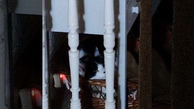 ROUNDABOUT смотреть онлайн