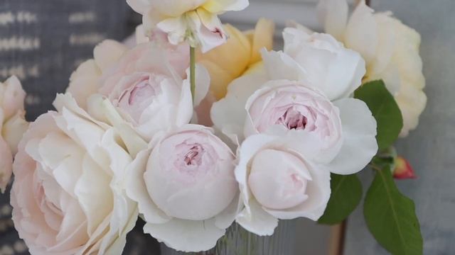 Favorite Roses for Cottage Gardens | Small Rose Garden Tour смотреть онлайн