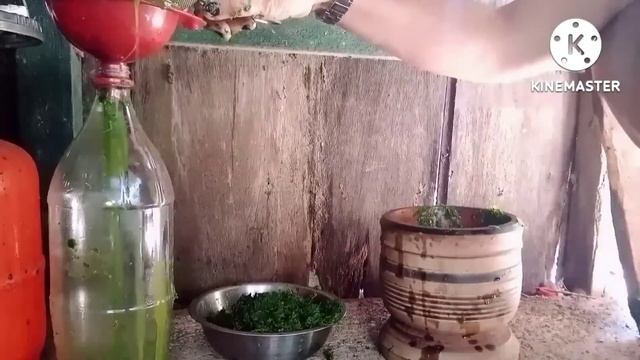 MADRE DE CACAO PLANT FERTILIZER смотреть онлайн