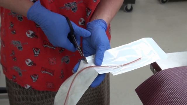 Urinary catheterization of a male dog смотреть онлайн